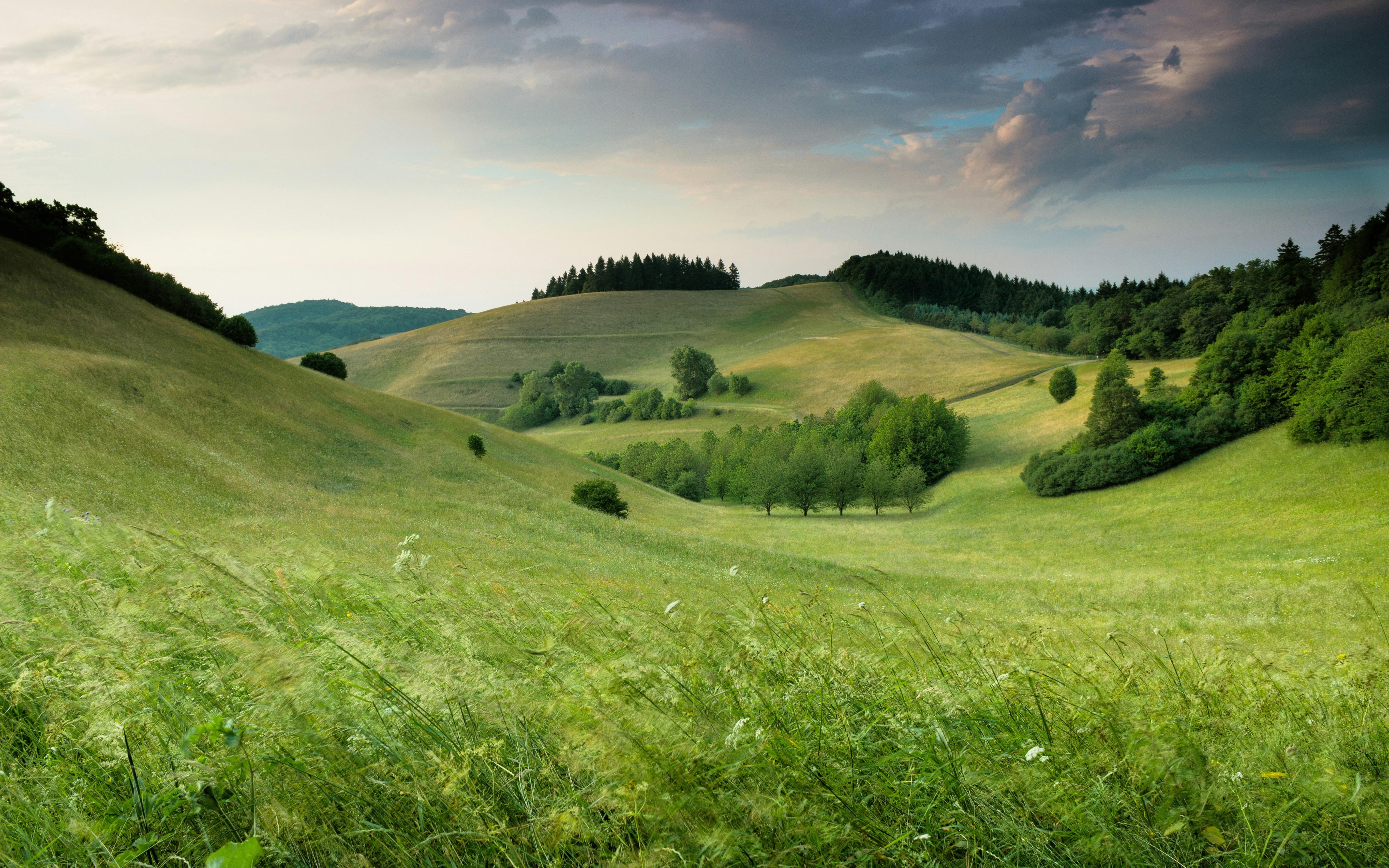 great photo recipe,how to photograph green hills with forest under cloudy sky during daytime