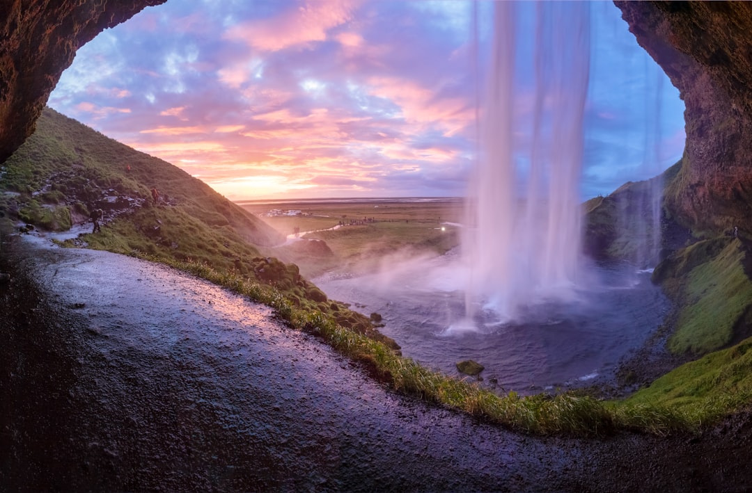 shallow focus photography of water falls