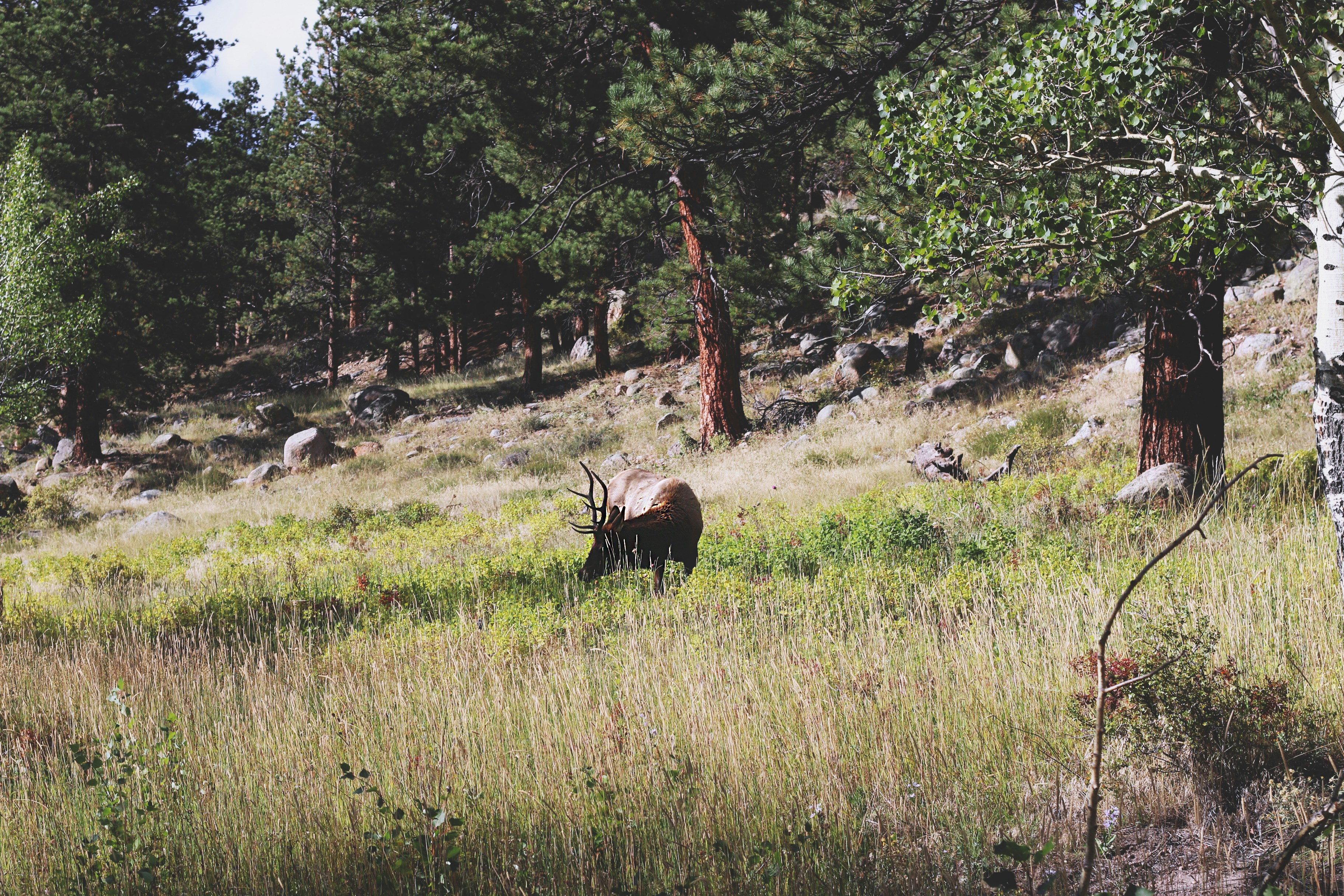 Photo by lissalistudio