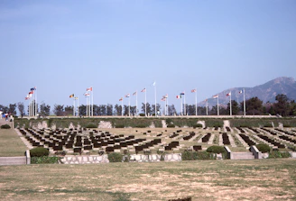 A serene memorial garden with flags gently waving under a clear blue sky.