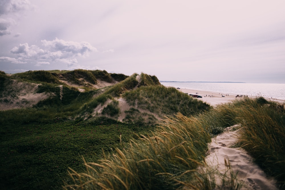 mountain covered by grass beside the seashore