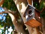 A rustic handmade birdhouse perched on a tree branch bathed in golden sunlight.