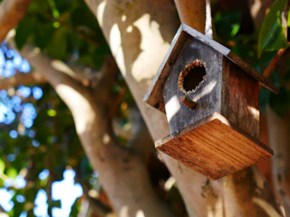 A rustic wooden birdhouse hanging from a tree branch in soft sunlight.