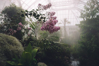 A serene spa room with tropical plants and soft pink lighting.