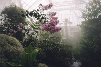 A serene spa room with tropical plants and soft pink lighting.
