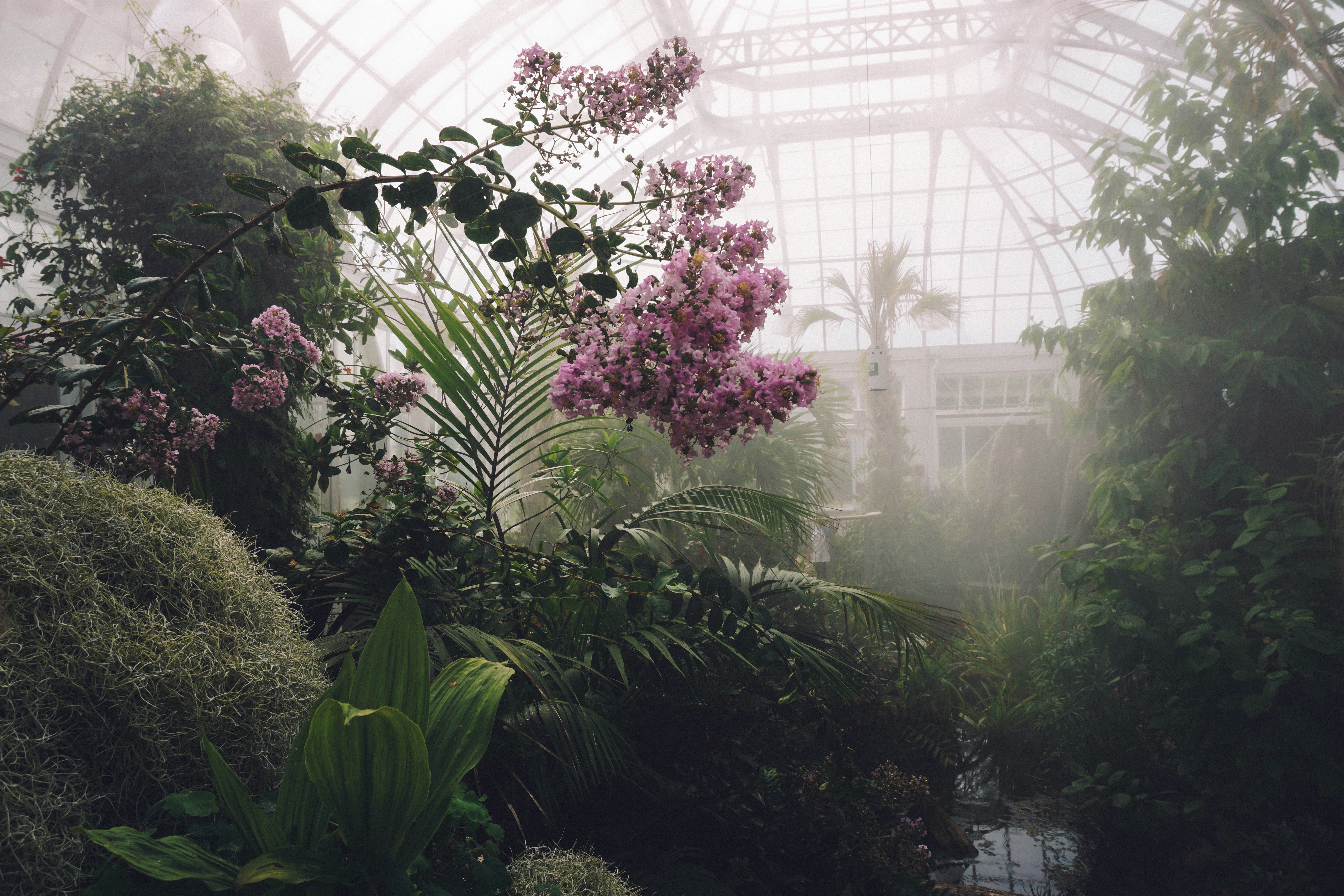 What Is The Greenhouse Treatment At The Greenhouse Treatment Center In Grand Prairie TX?
