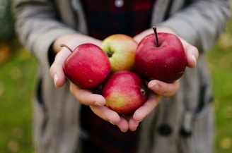 person holding four red apples