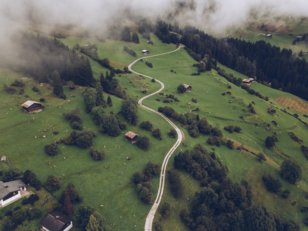 aerial photography of green field