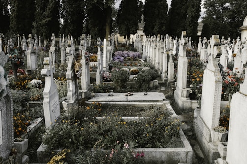 A cemetery filled with numerous tombstones and graves, adorned with colorful flowers and greenery. The headstones are arranged in rows, with some showing visible inscriptions. Tall, dark trees surround the area, adding a solemn and serene atmosphere.