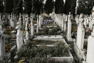 A cemetery filled with numerous tombstones and graves, adorned with colorful flowers and greenery. The headstones are arranged in rows, with some showing visible inscriptions. Tall, dark trees surround the area, adding a solemn and serene atmosphere.