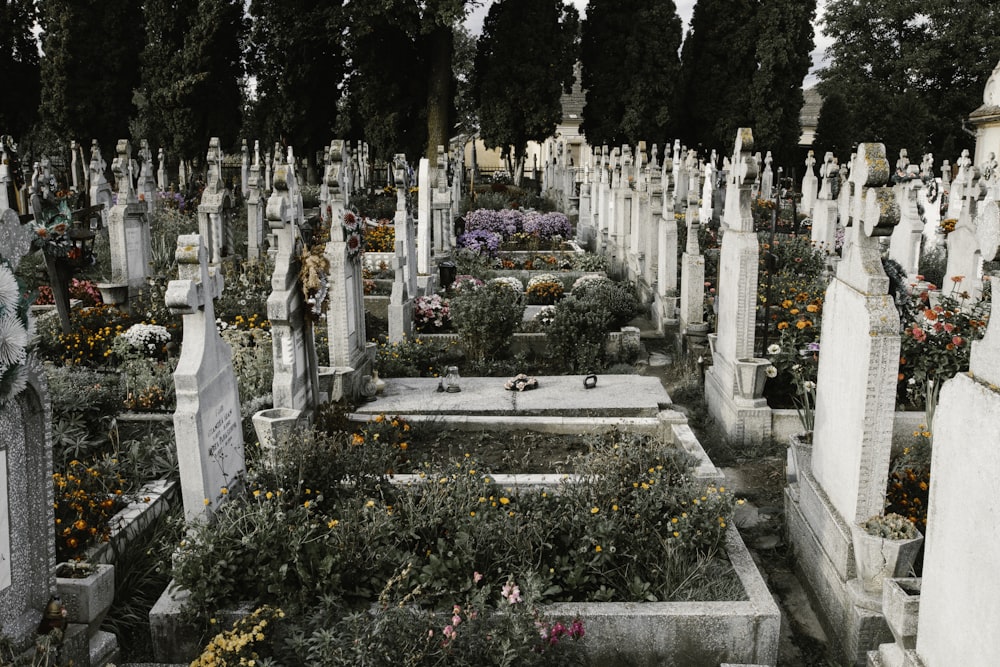 tomb stone surrounded by flowers