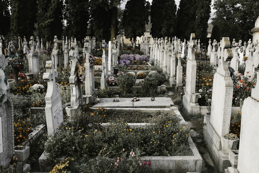 Grabstein umgeben von Blumen