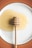 honey dipper on round plate with honey