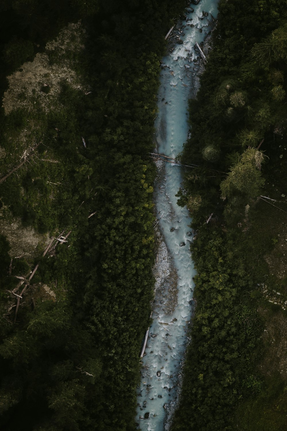 water stream with trees on sides