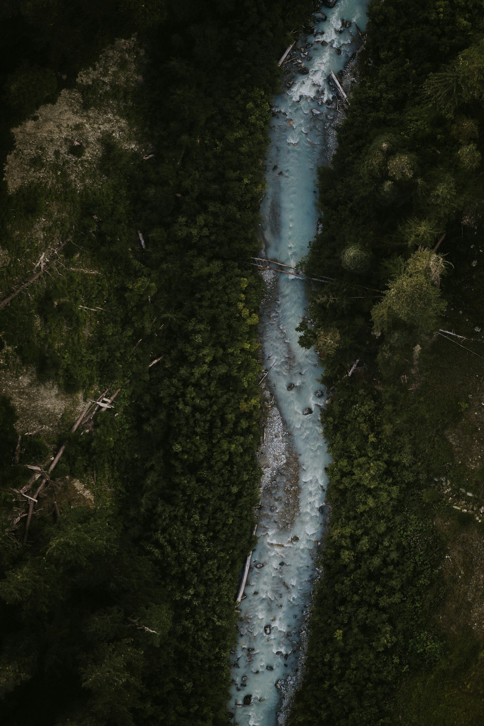 Canon EOS 6D + Canon EF 70-300mm F4-5.6 IS USM sample photo. Water stream with trees photography