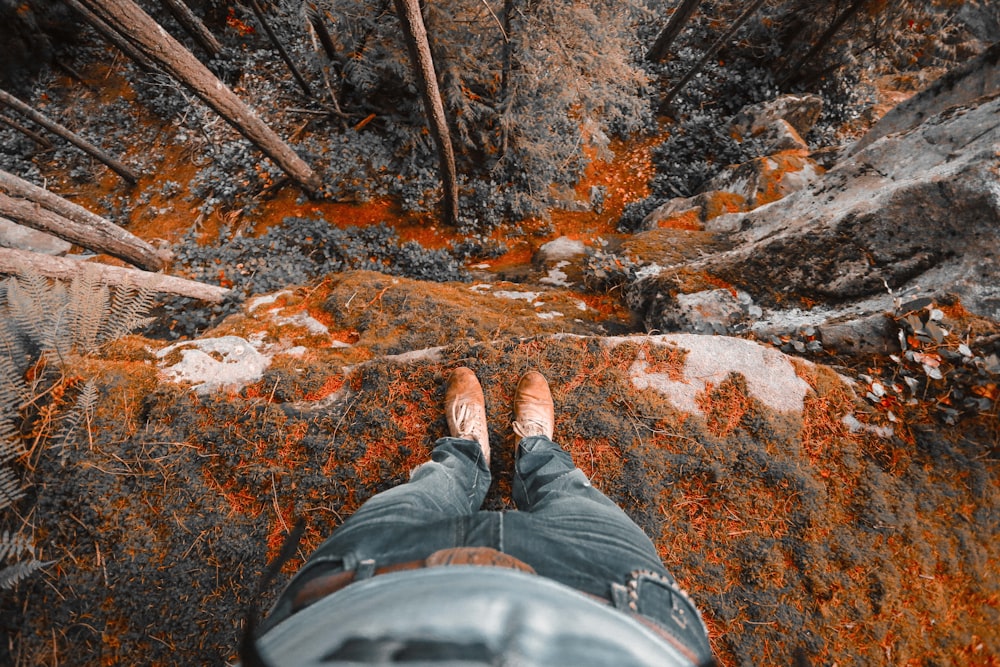 person standing on brown rock cliff surrounded by trees