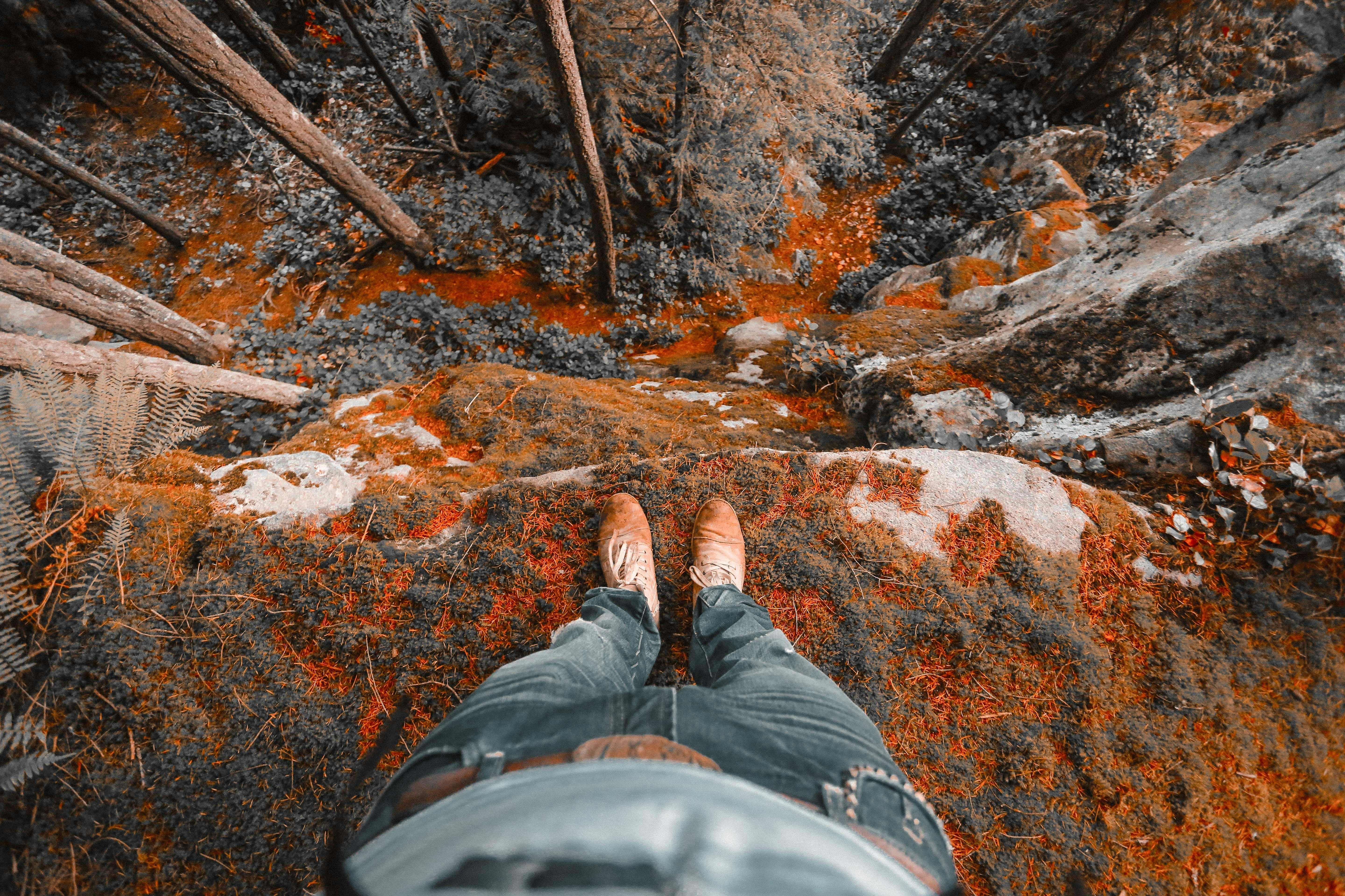 person standing on brown rock cliff surrounded by trees