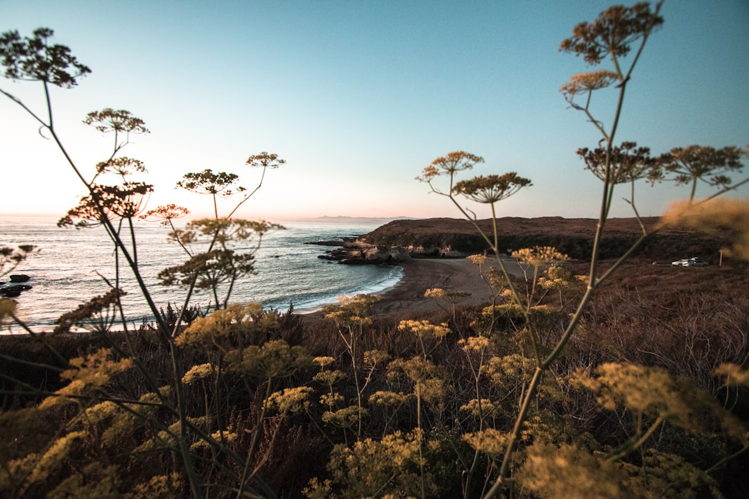 travelers stories about Shore in Montana De Oro State Park, United States