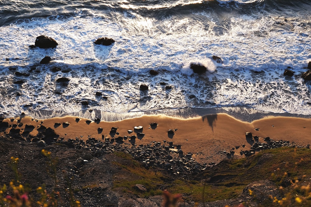 bird's-eye view photography of seashore