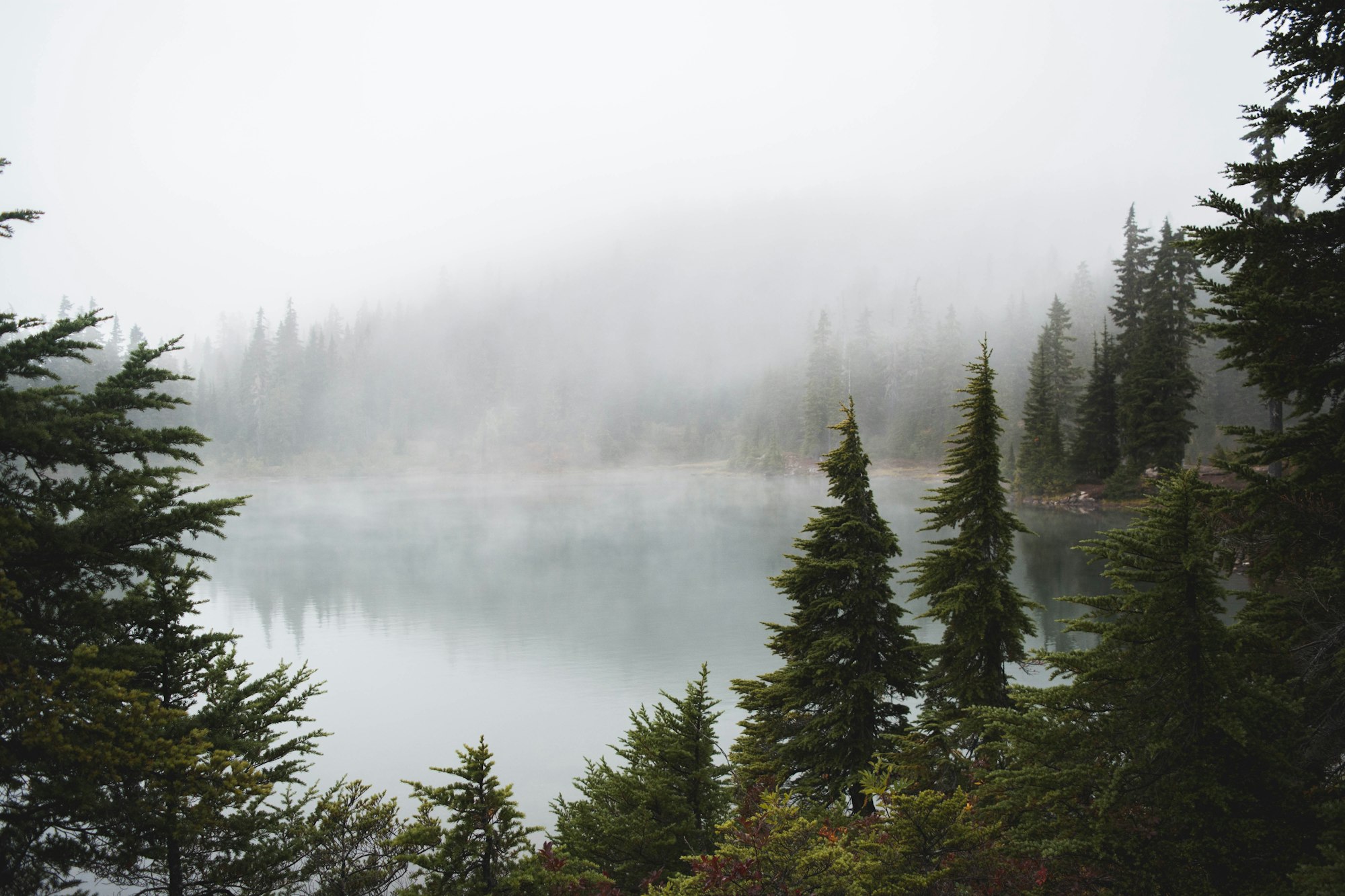 This photo was taken at Kwai Lake in Strathcona Provincial Park, BC. We had hiked nearly 10km in the rain that day and were overjoyed when we finally arrived at our beautiful destination. While we were setting up camp for the night, I managed to sneak off to capture the fog over the lake, welcoming us to the area.