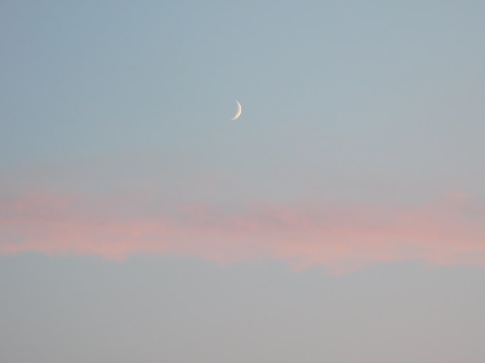 quarter moon during daytime