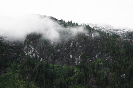 photo of mountain covered with fog and trees in Strathcona-Westmin Provincial Park Canada