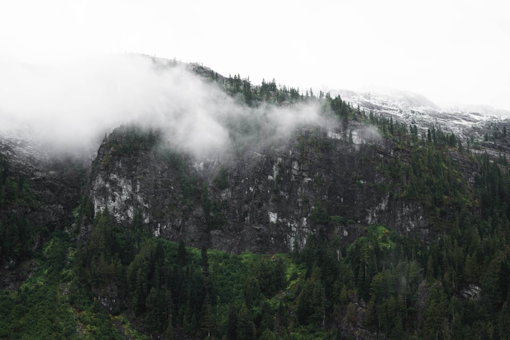 Foto eines Berges, der mit Nebel und Bäumen bedeckt ist