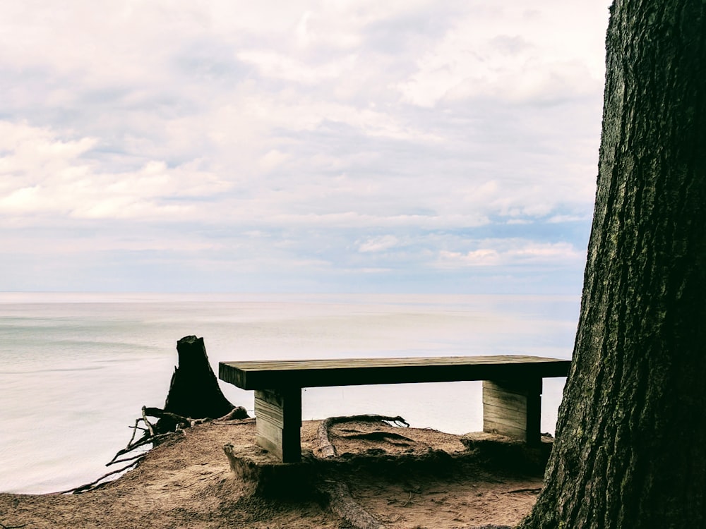 brown wooden bench near body of water