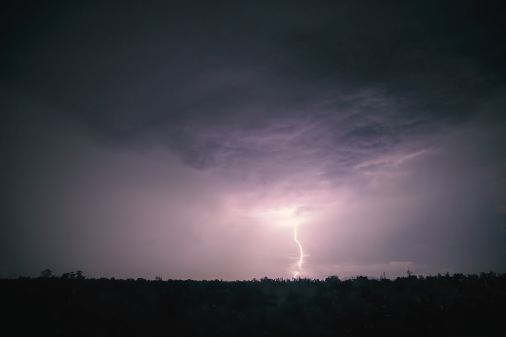 silhouette of trees under gray clouds with thunder at nighttime