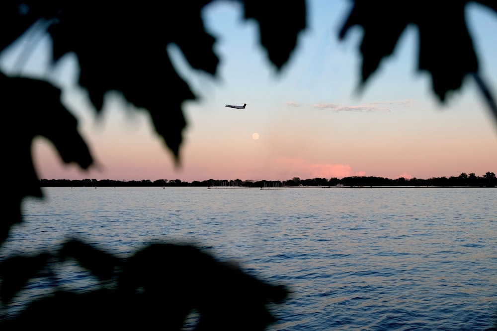 Silhouettenfoto des Flugzeugs in der Luft