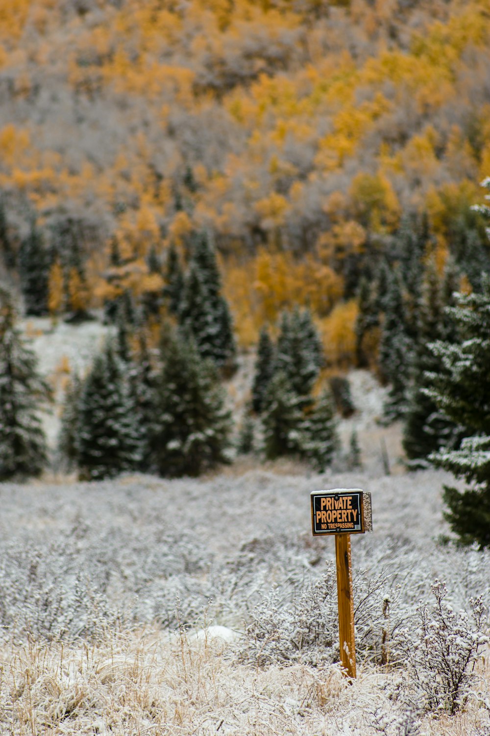 photo of private property signage