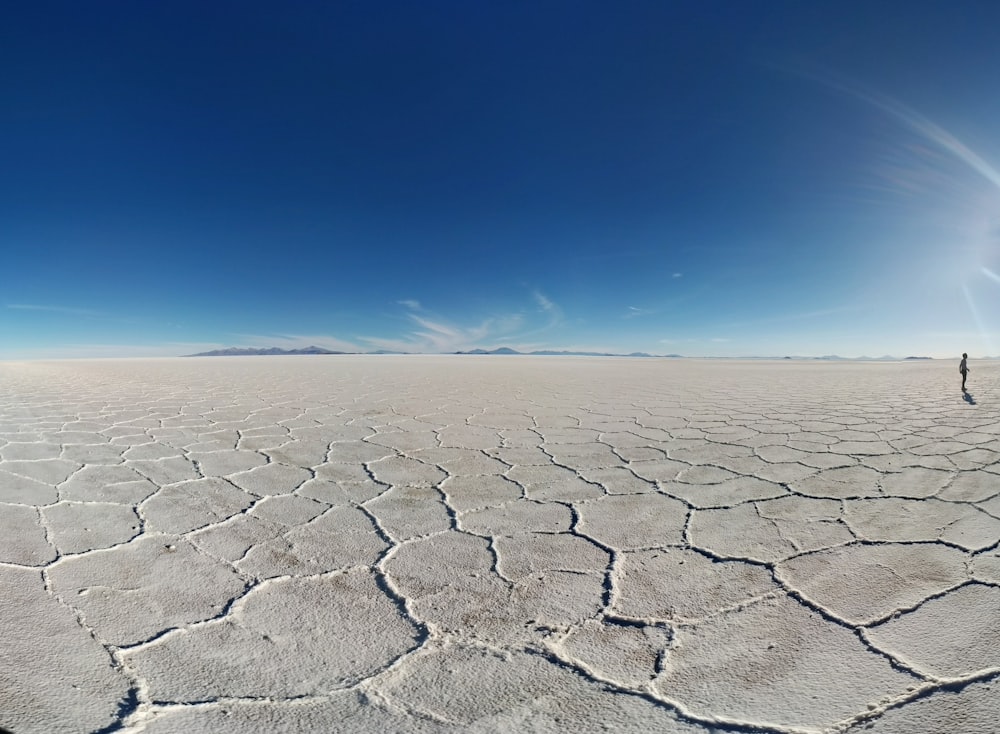 person walking on dry soil during daytime