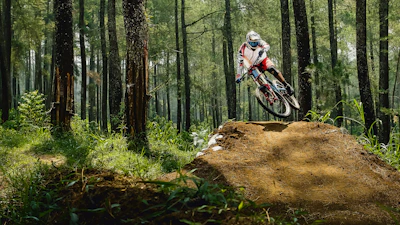 man riding bike doing stunt near green trees during daytime