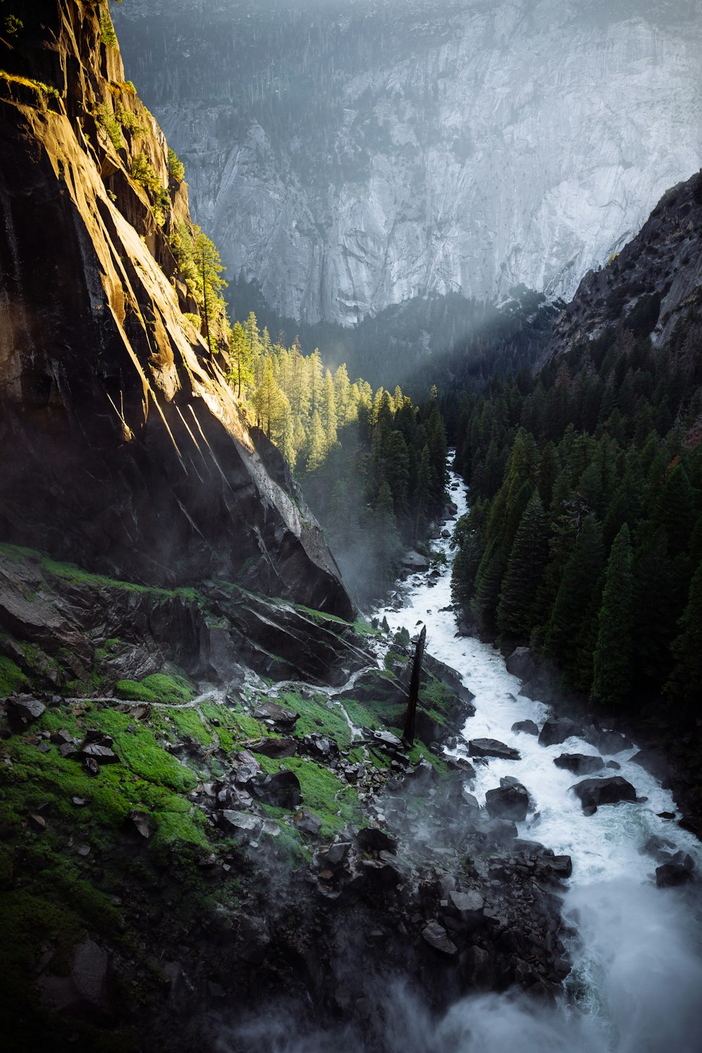 waterfalls between trees