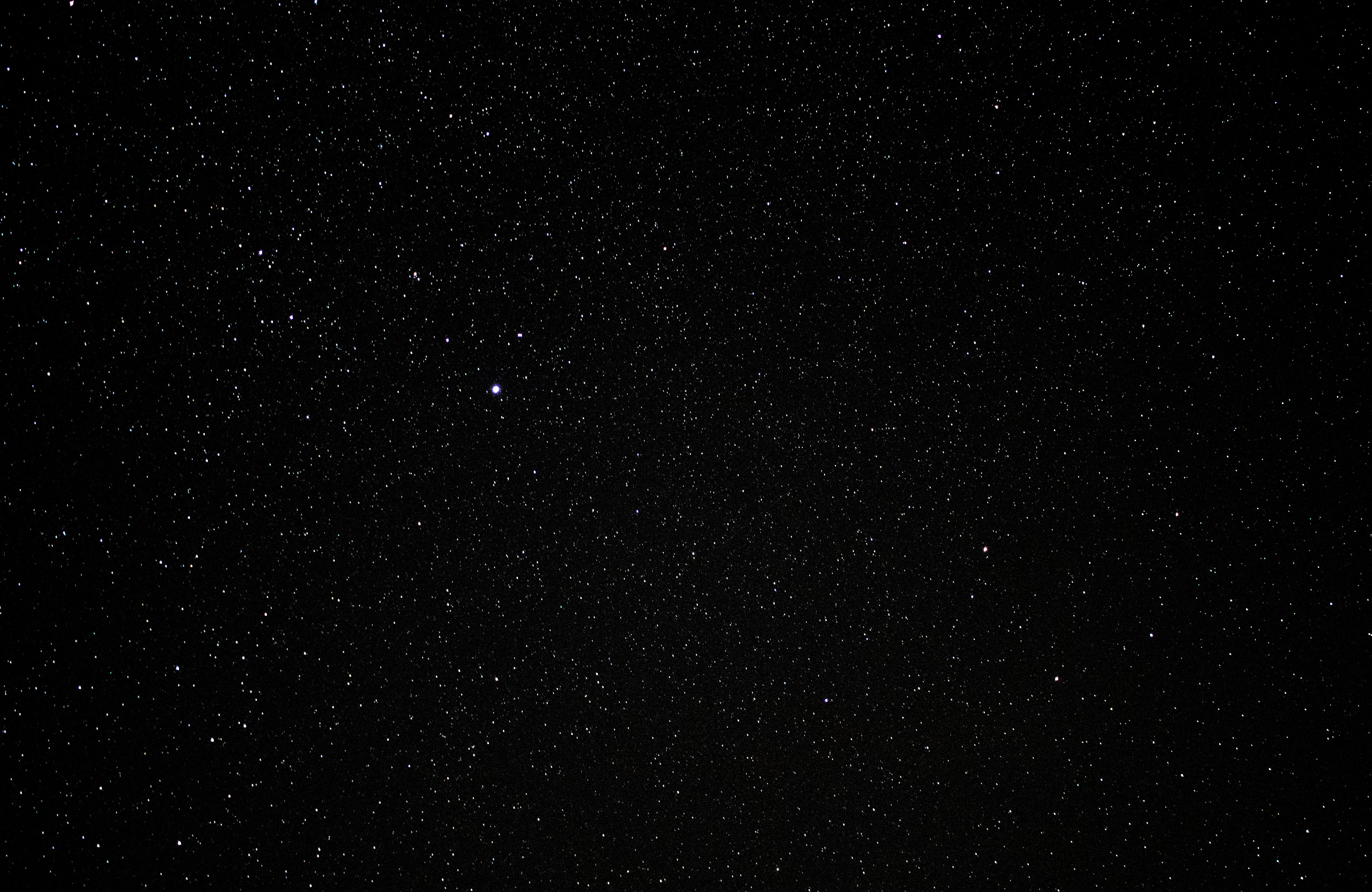 https://images.unsplash.com/photo-1506318137071-a8e063b4bec0?ixid=M3w2MjYzNjJ8MHwxfHNlYXJjaHw4fHxCbGFjayUyMFRhcCUyMENyYWZ0JTIwQnVyZ2VycyUyMCUyNiUyMEJlZXJ8ZW58MHwwfHx8MTcyOTI5MDY5MHww&ixlib=rb-4.0.3