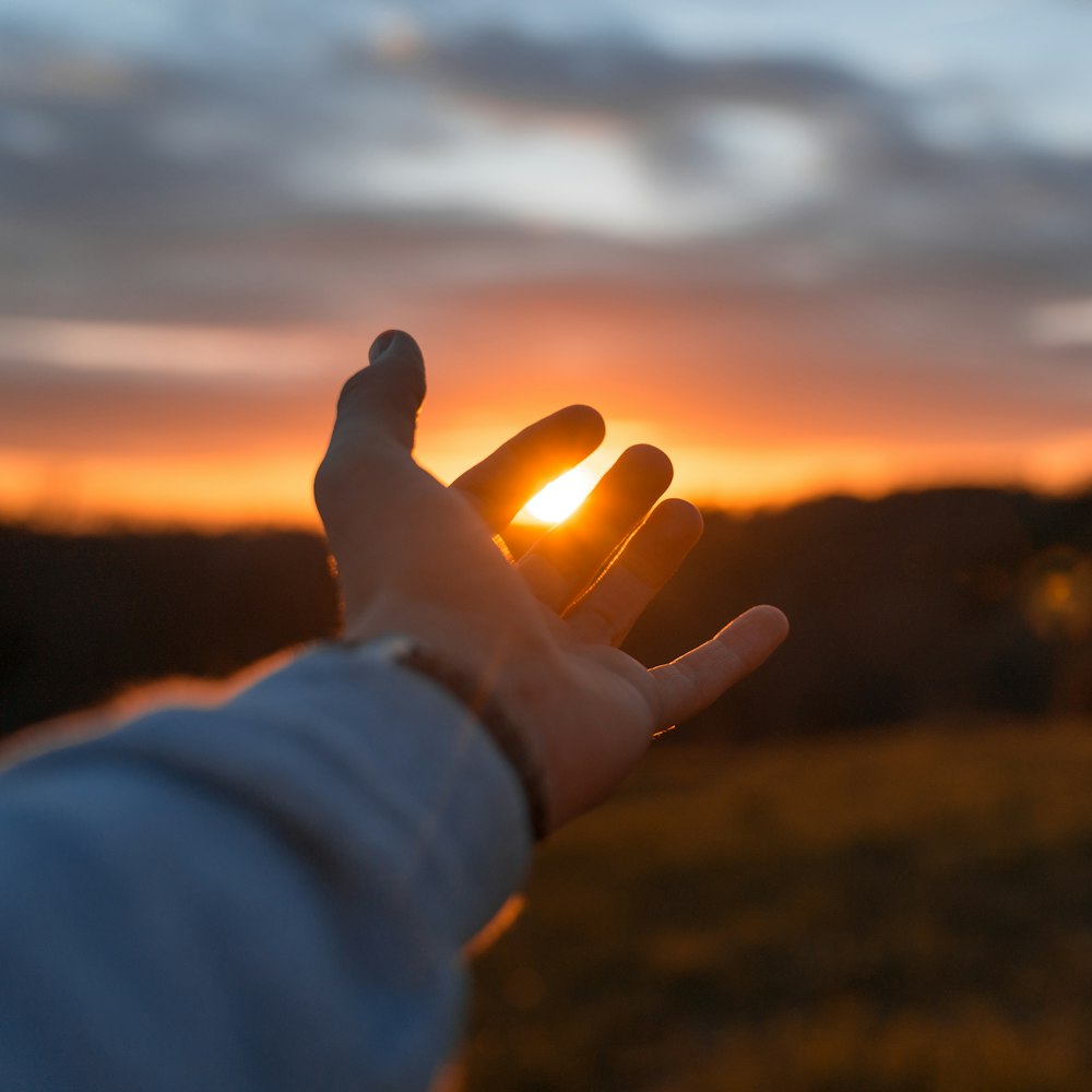 shallow focus photography of person's left hand