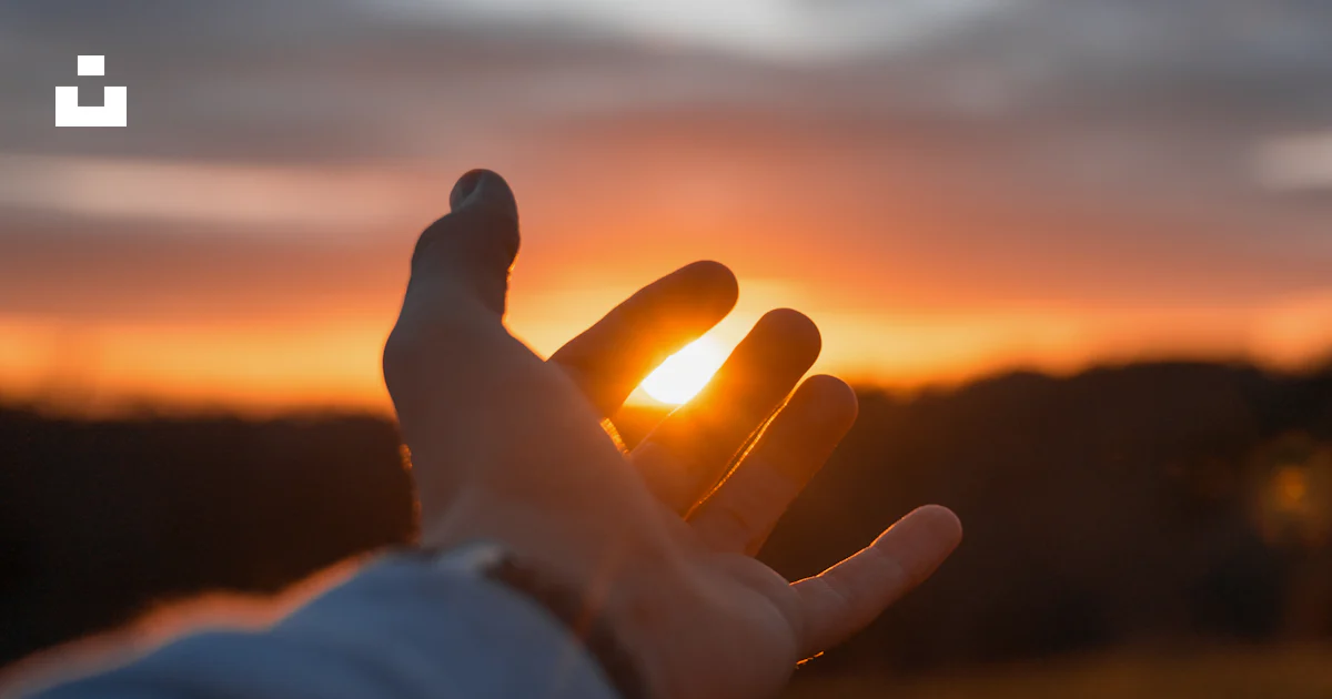Shallow focus photography of person's left hand photo – Free Bordeaux ...