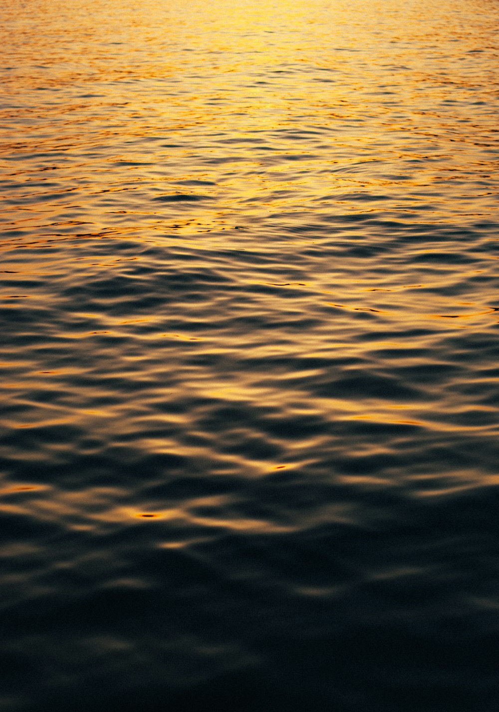 low light photography of body of water