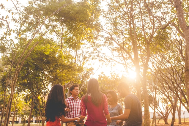 A diverse group of people holding hands in a circle outdoors, sunlight streaming through trees.