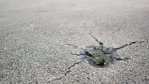 A small green plant is growing through a crack on a rough, grey concrete surface. The contrast between the delicate plant and the hard concrete highlights the resilience and determination of nature.