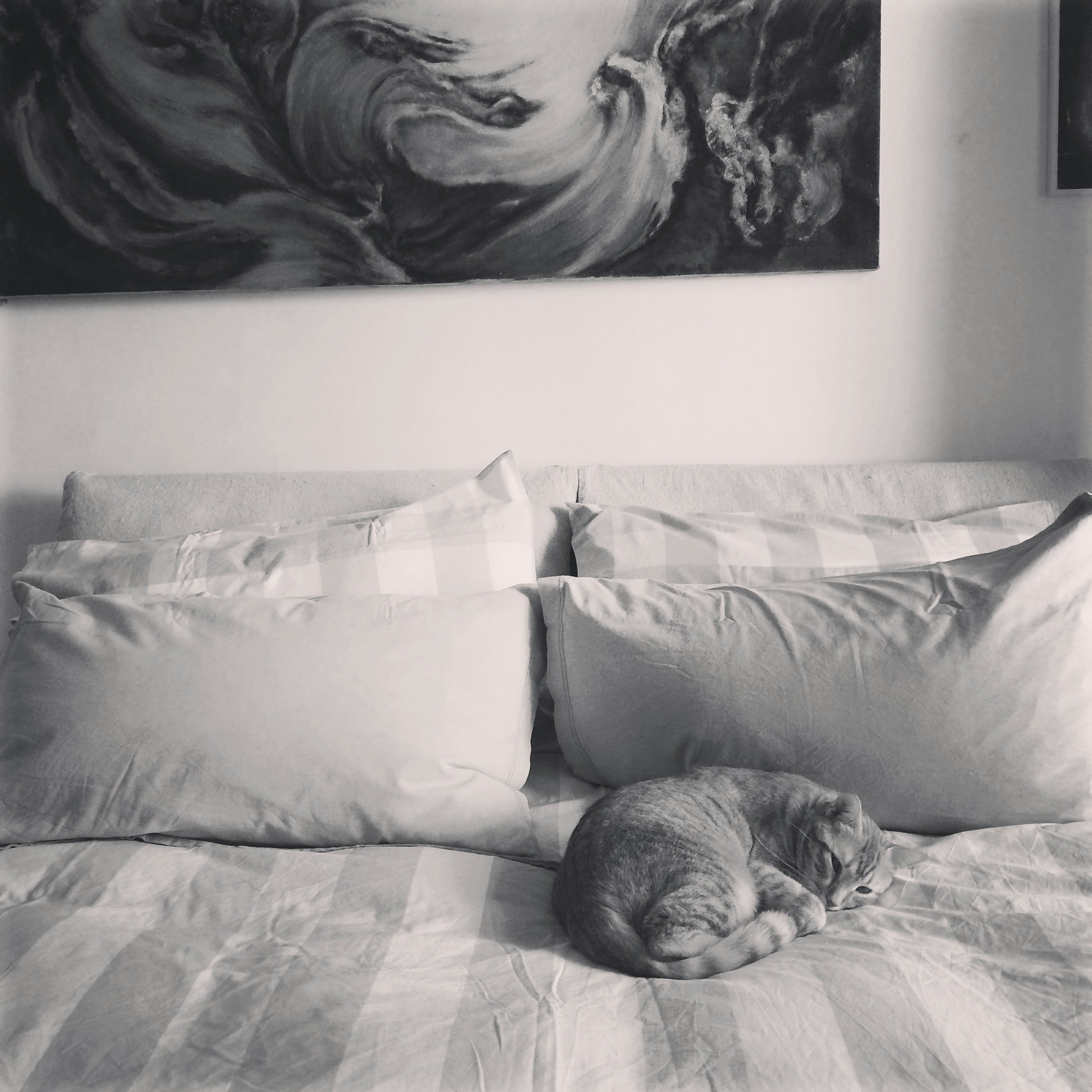 Free Rome Image On Unsplash