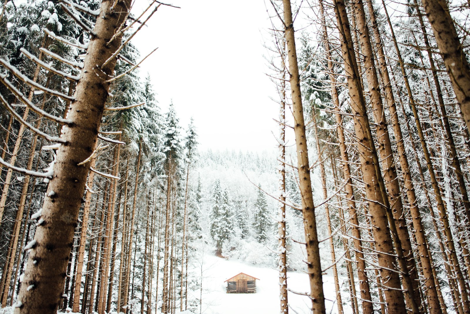 Nikon D750 sample photo. Cabin in snow covered photography