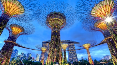 Garden's by the bay, Singapore