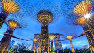 Garden's by the bay, Singapore