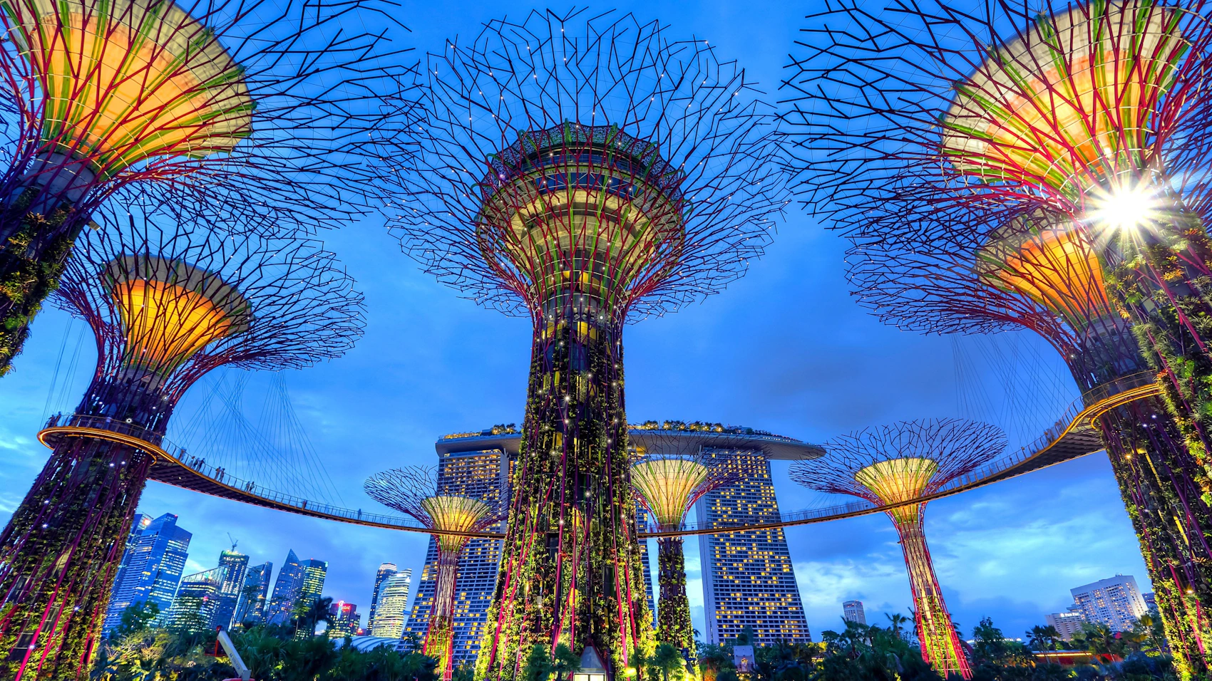 The illuminated Supertrees at Gardens by the Bay in Singapore
