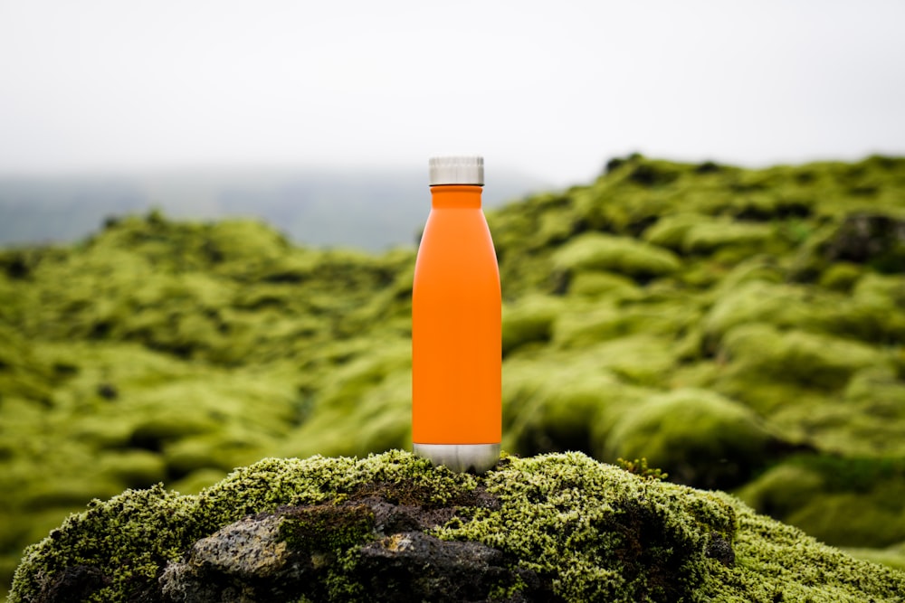 orange tumbler on green moss