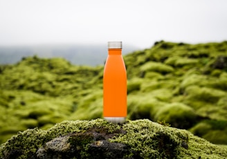 orange tumbler on green moss