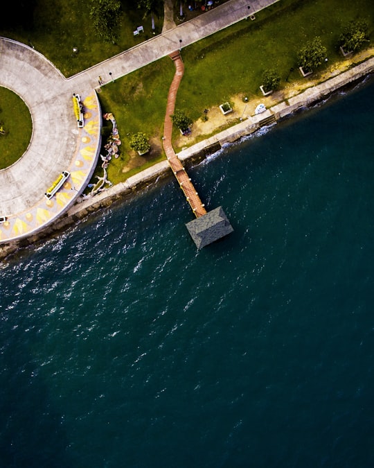 birds eye photography of trees near body of water in San Carlos City Philippines