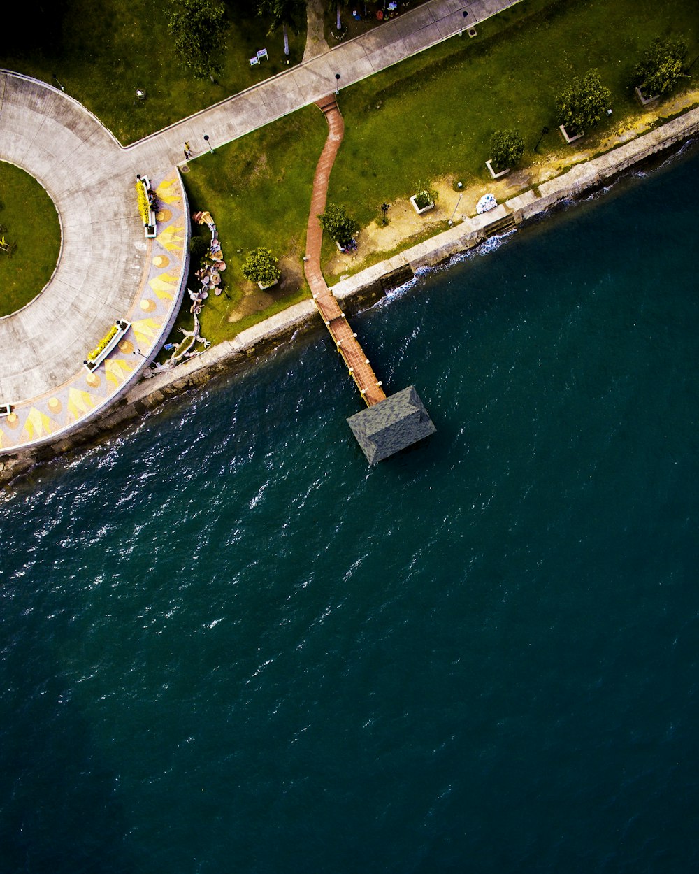 birds eye photography of trees near body of water