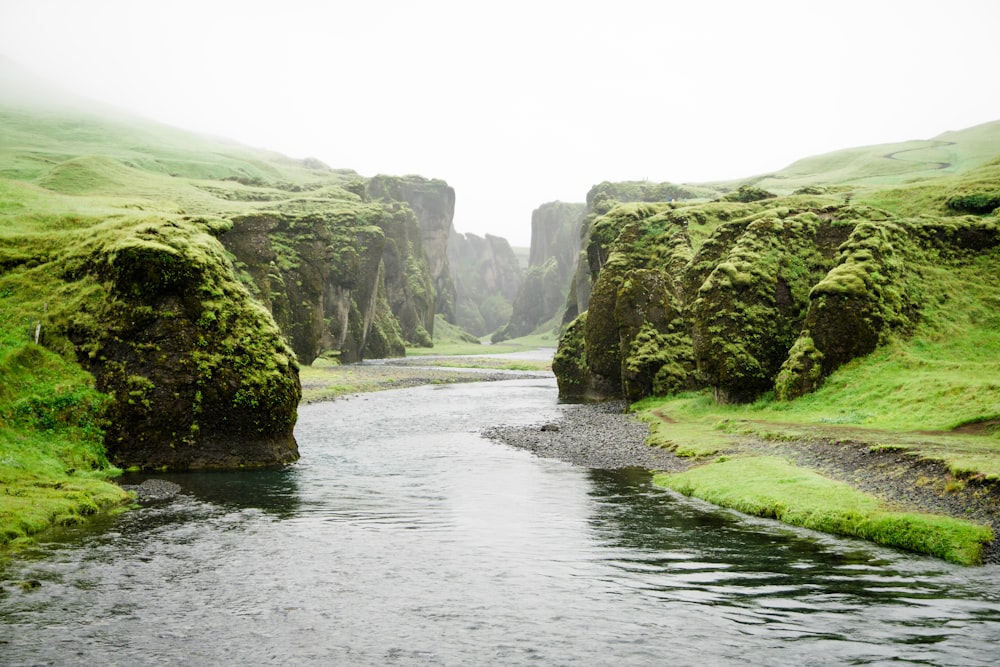 Fotografía de paisaje de río entre montañas verdes